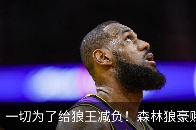 一切为了给狼王减负！森林狼豪赌后场双枪