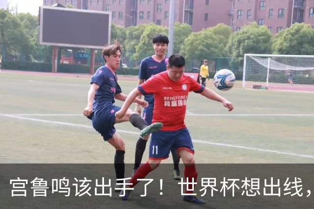 宫鲁鸣该出手了！世界杯想出线，必须弃用张曼曼，召回郑薇控卫武桐桐